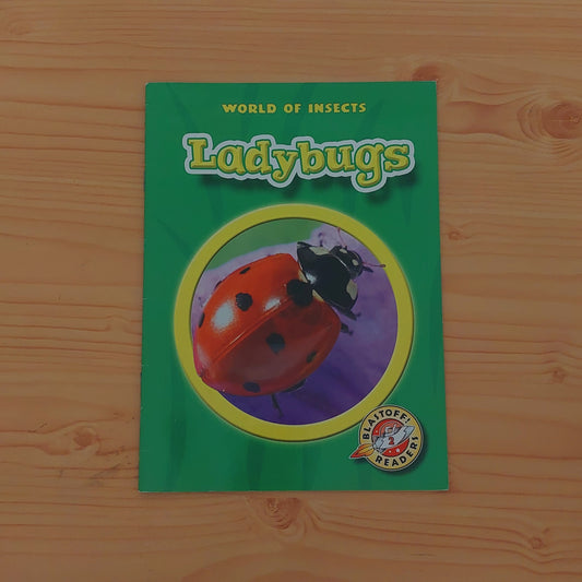 World of Insects: Ladybugs