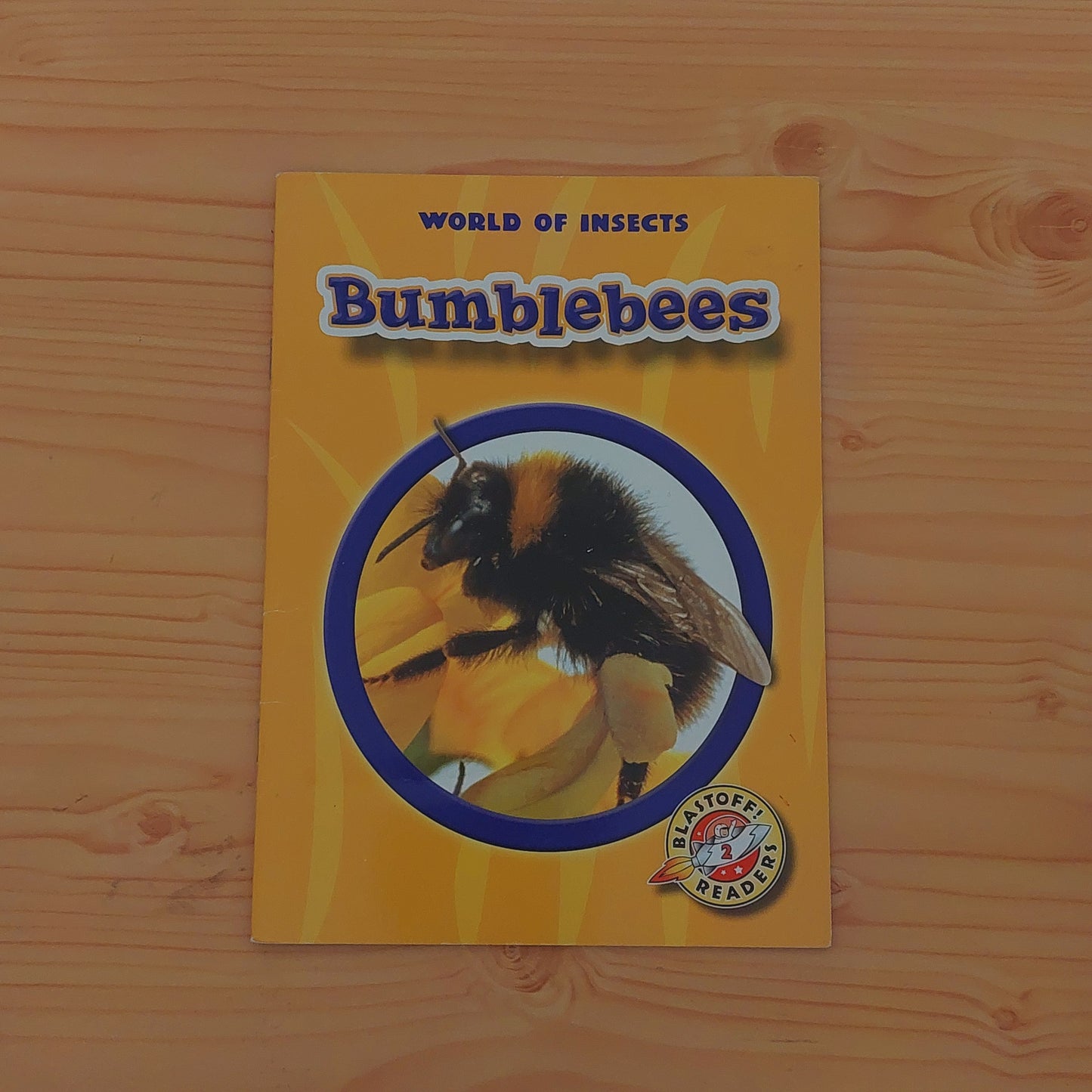 World of Insects: Bumblebees