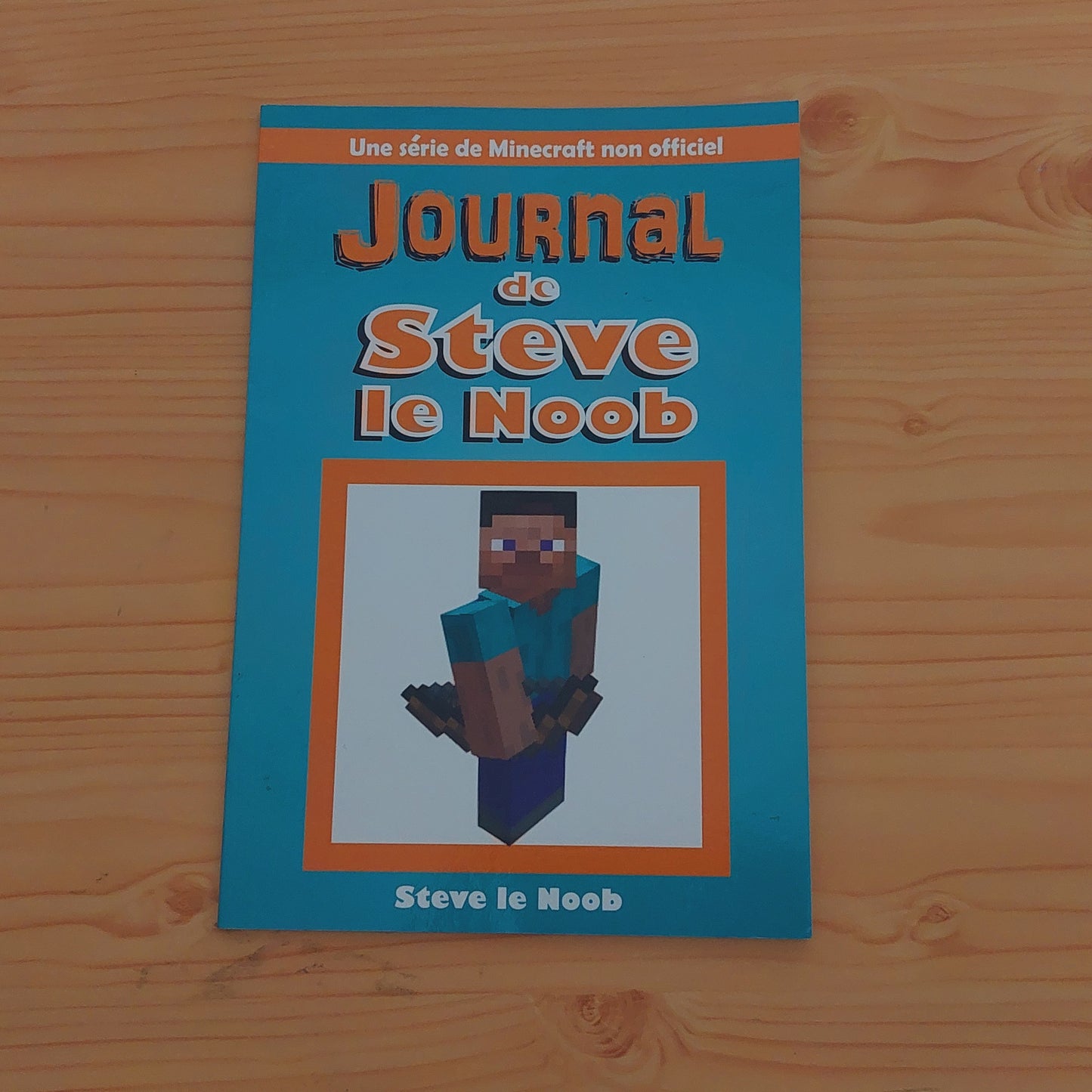 Journal De Steve Le Noob