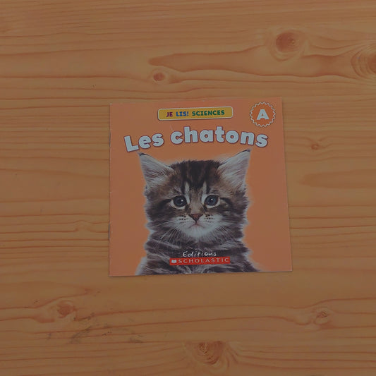 Les chatons