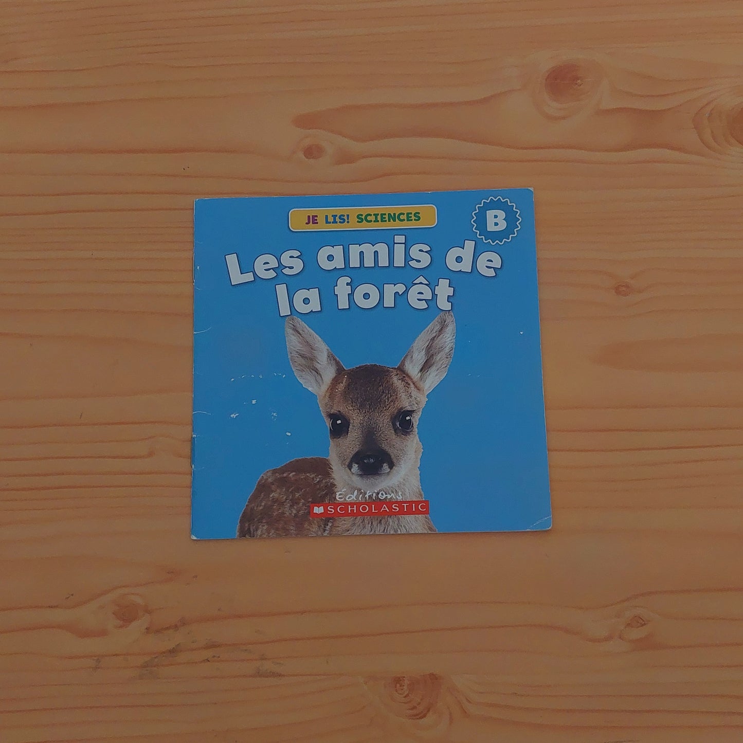 Les Amis De La Forêt