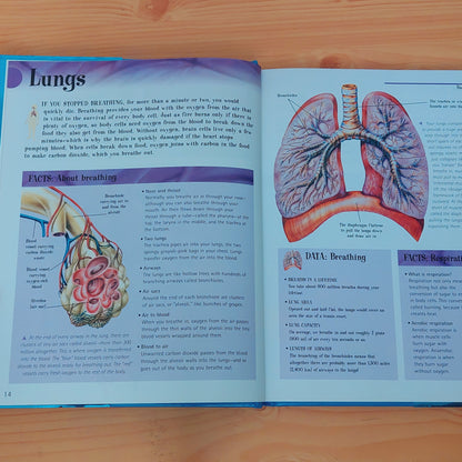The Big Book of Knowledge