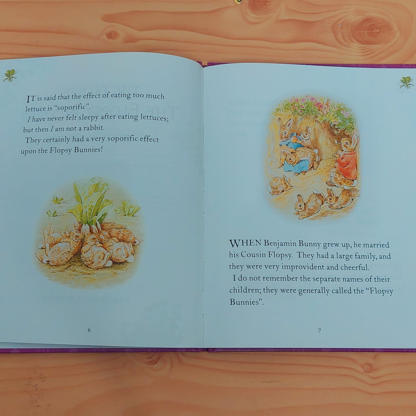 The Tale of the Flopsy Bunnies by Beatrix Potter