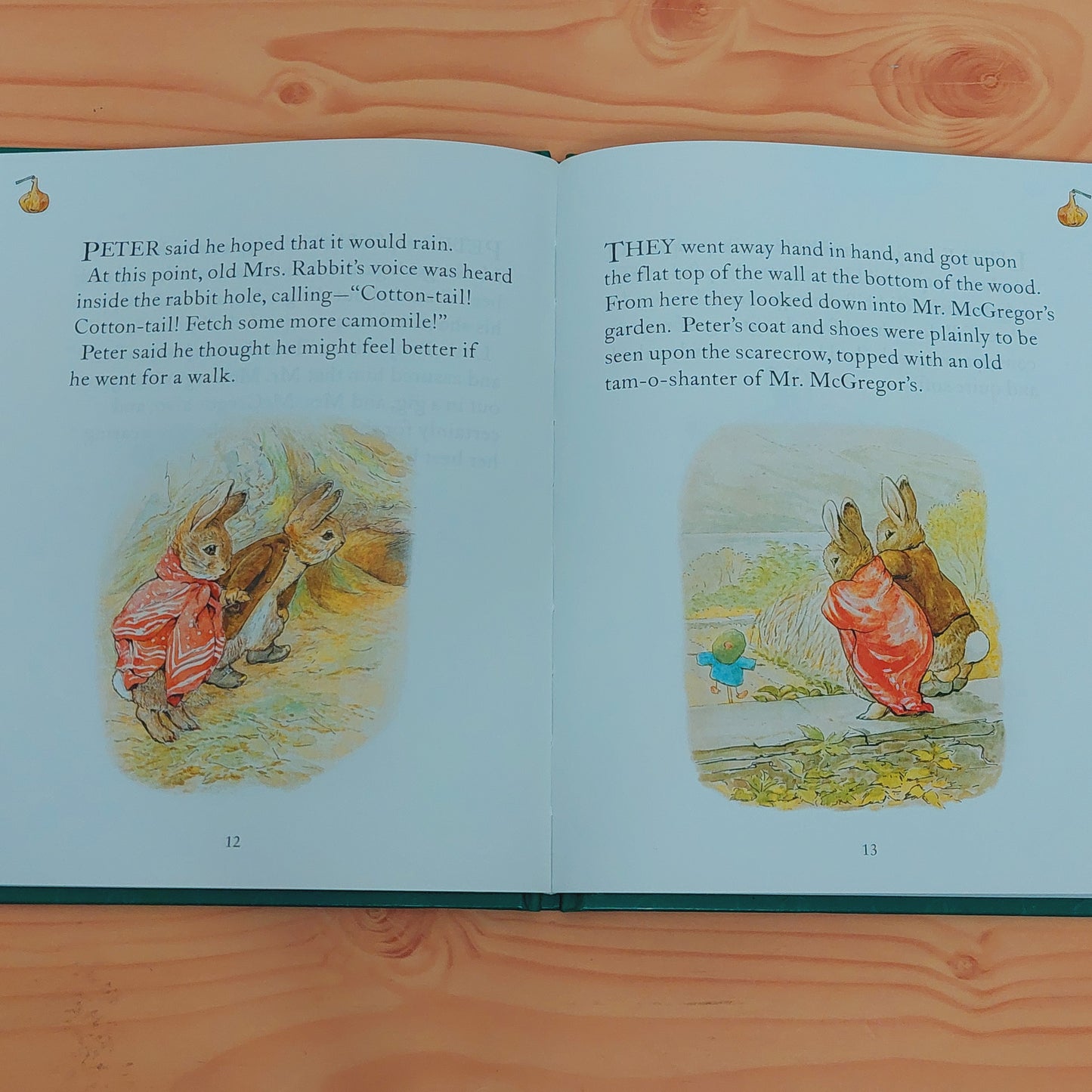 The Tale of Benjamin Button by Beatrix Potter