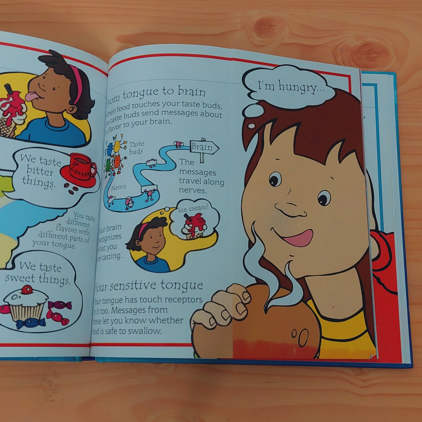 Flip-Flap Body Book (Usborne)