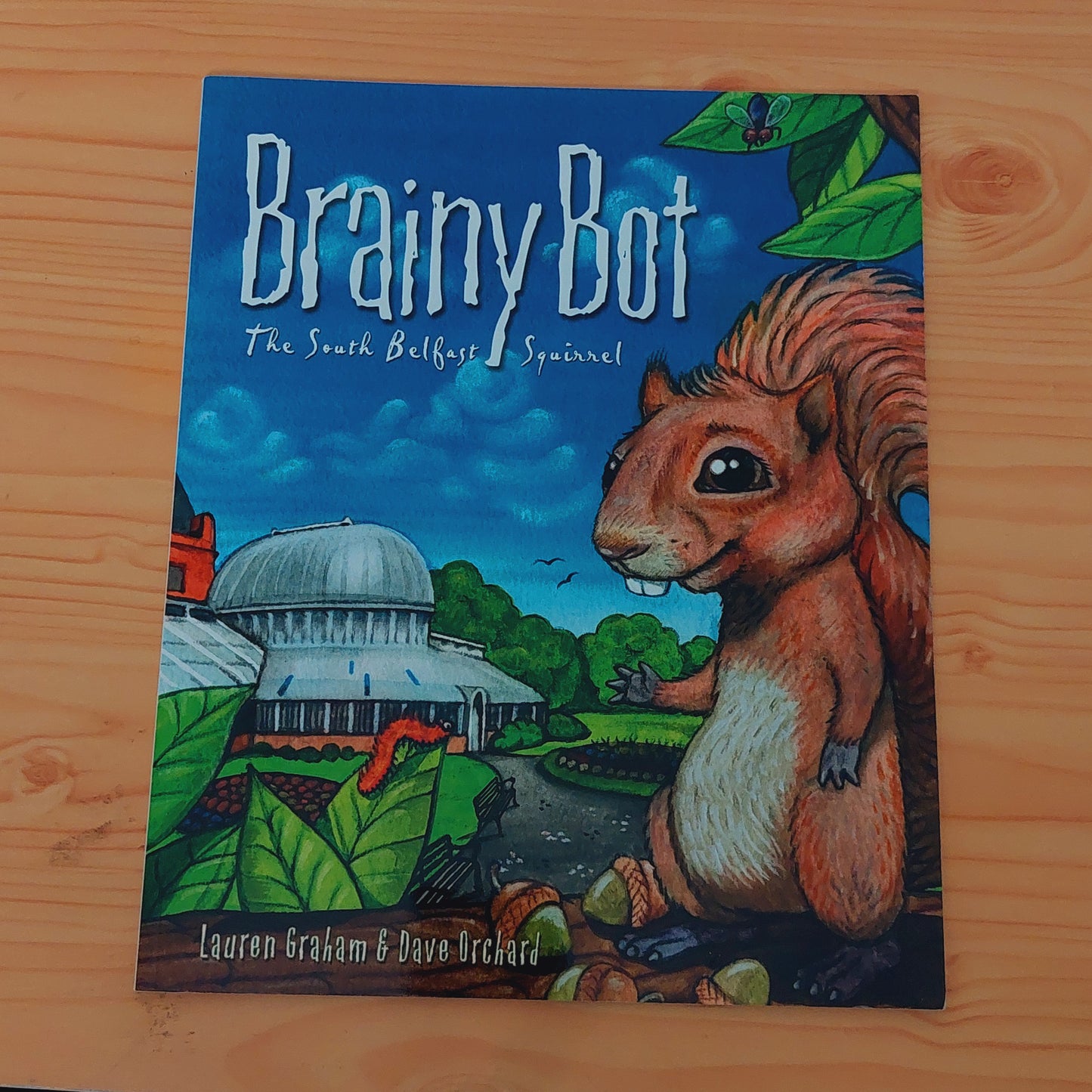 Brainy Bot - The South Belfast Squirrel