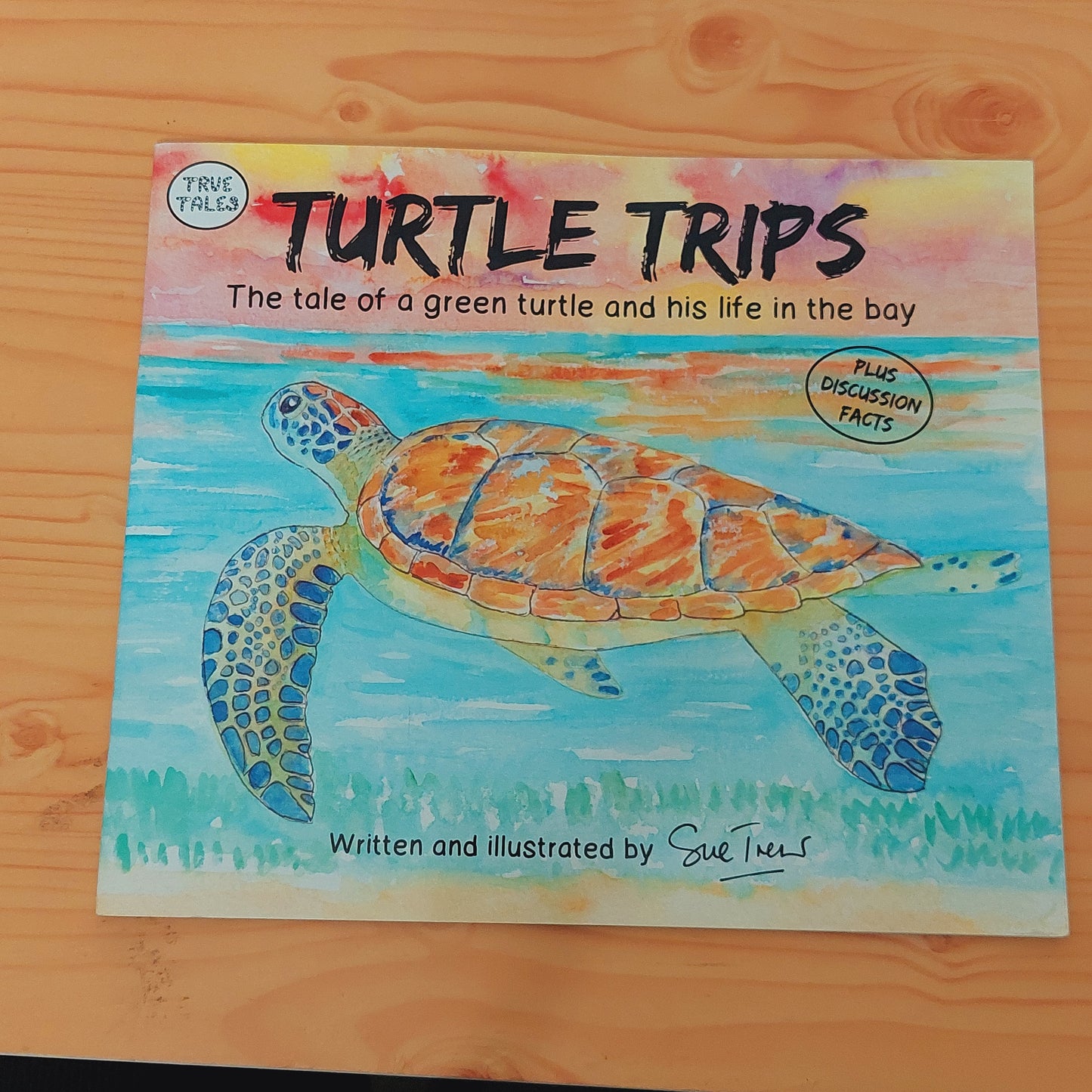 Turtle Trips