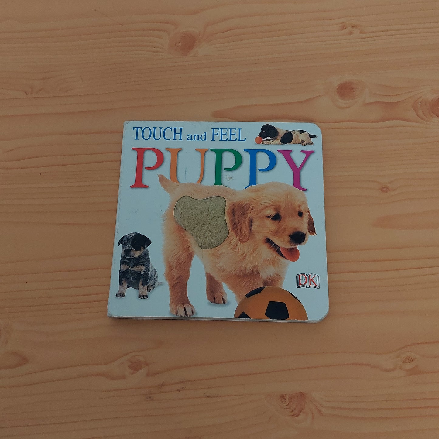 Puppy (Touch and Feel)