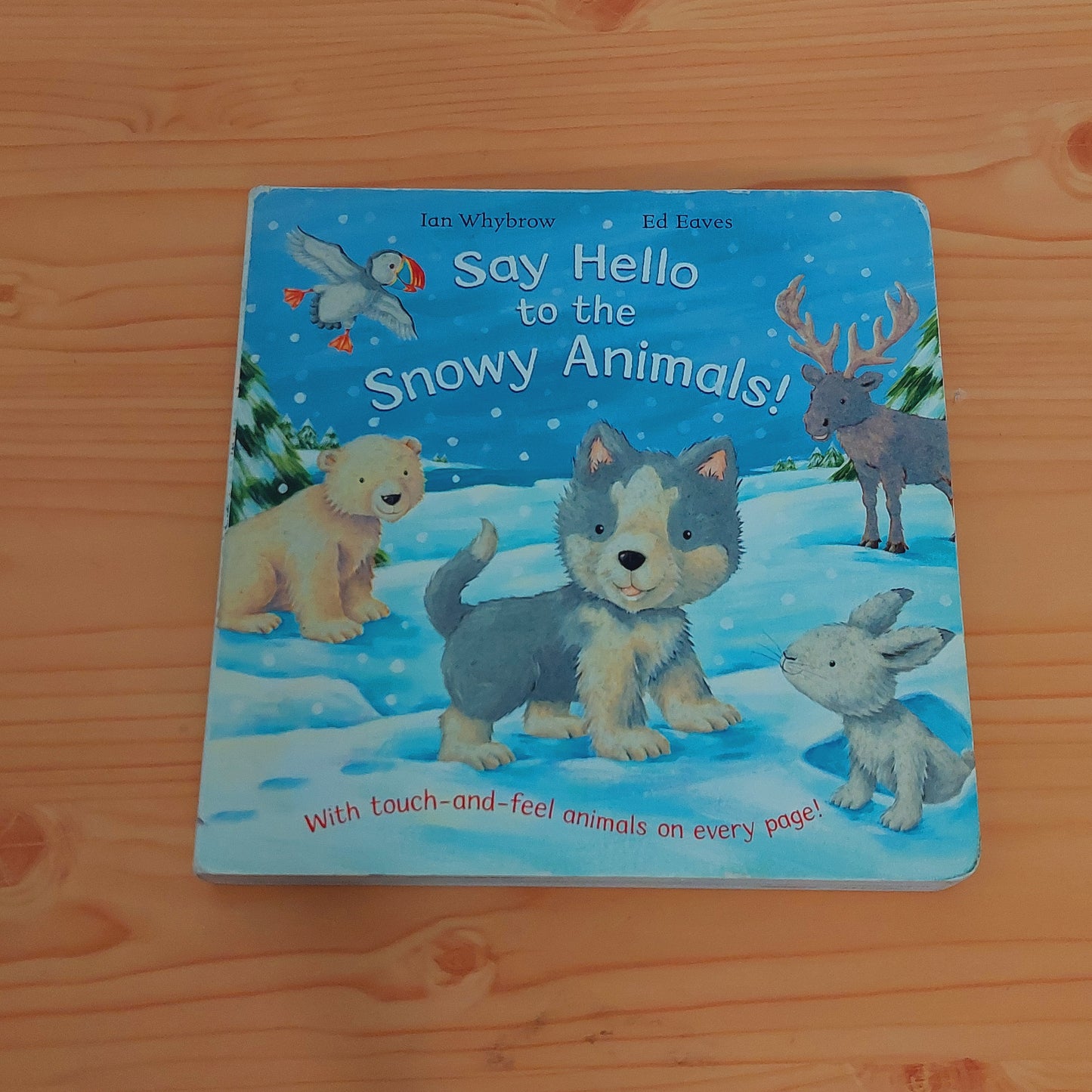 Say Hello to the Snowy Animals!