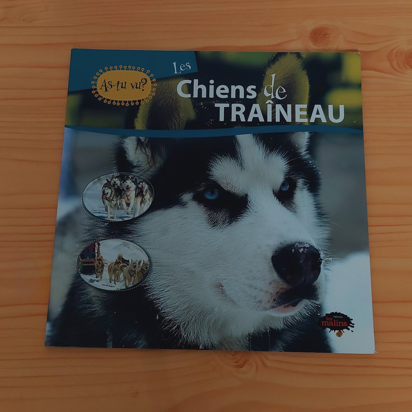 Les Chiens De Traîneau