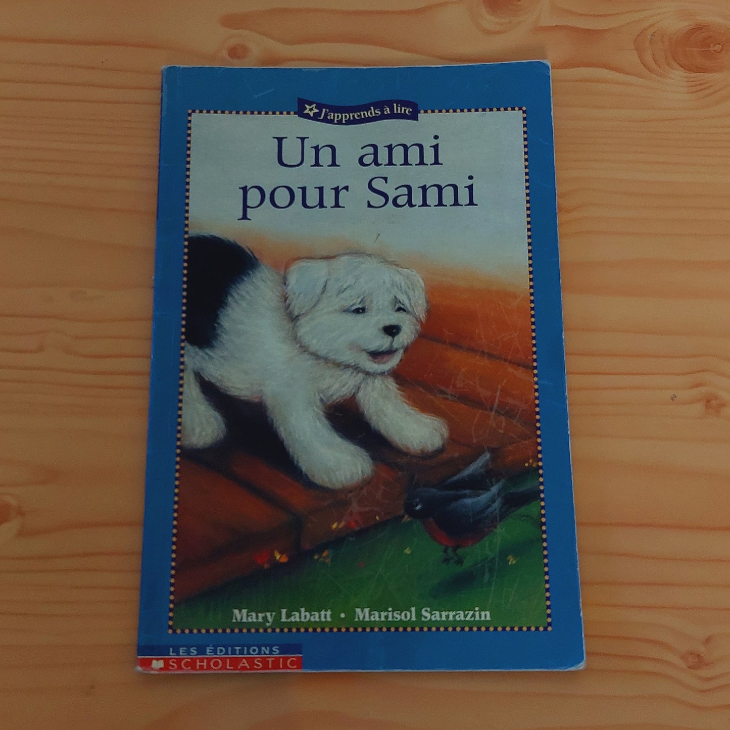 Un ami pour Sami