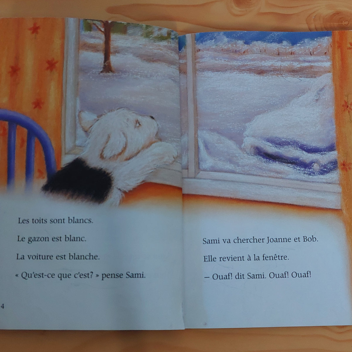 Sami et la neige
