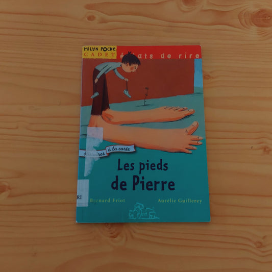 Les Pieds De Pierre