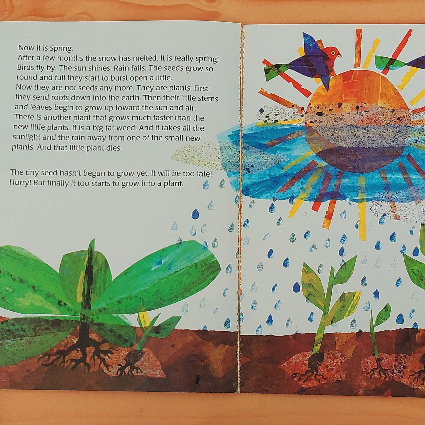 The Tiny Seed by Eric Carle