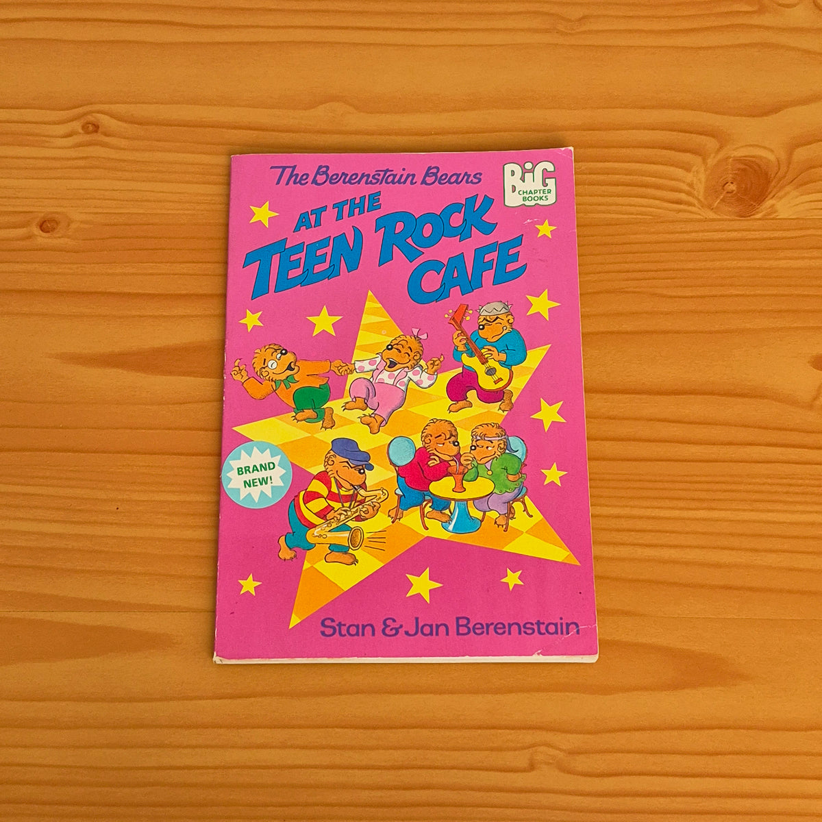 The Berenstain Bears at the Teen Rock Cafe