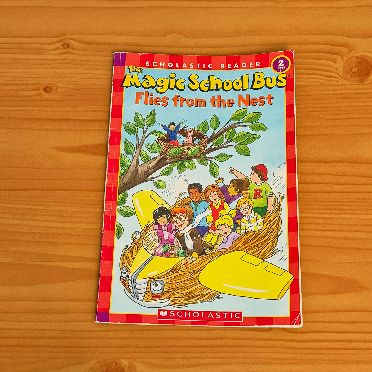 The Magic School Bus -Flies From the Nest (Level 2)