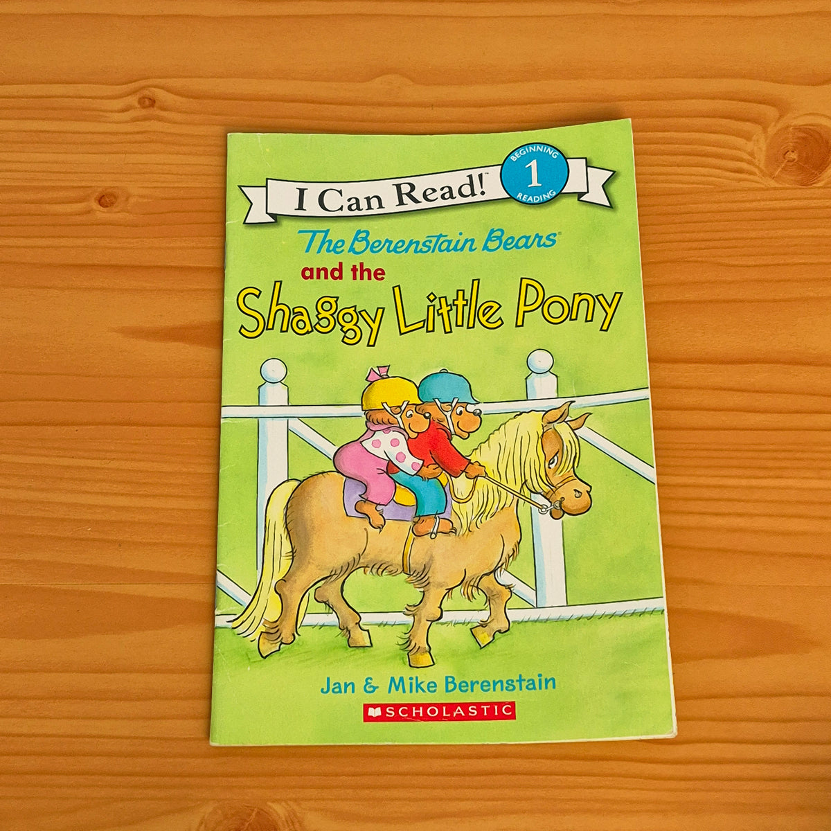 The Berenstain Bears and the Shaggy Little Pony (Level 1)