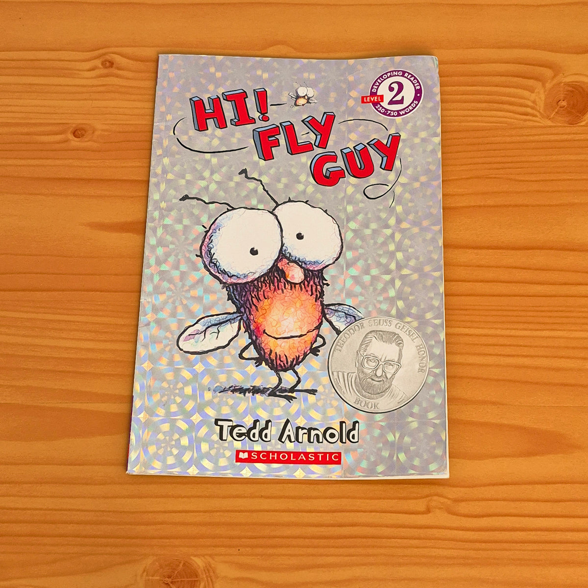 Hi! Fly Guy (Level 2)