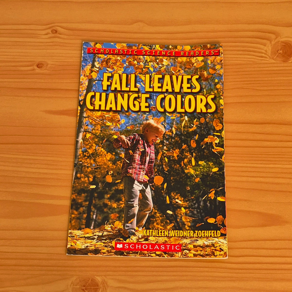 Fall Leaves Change Colours