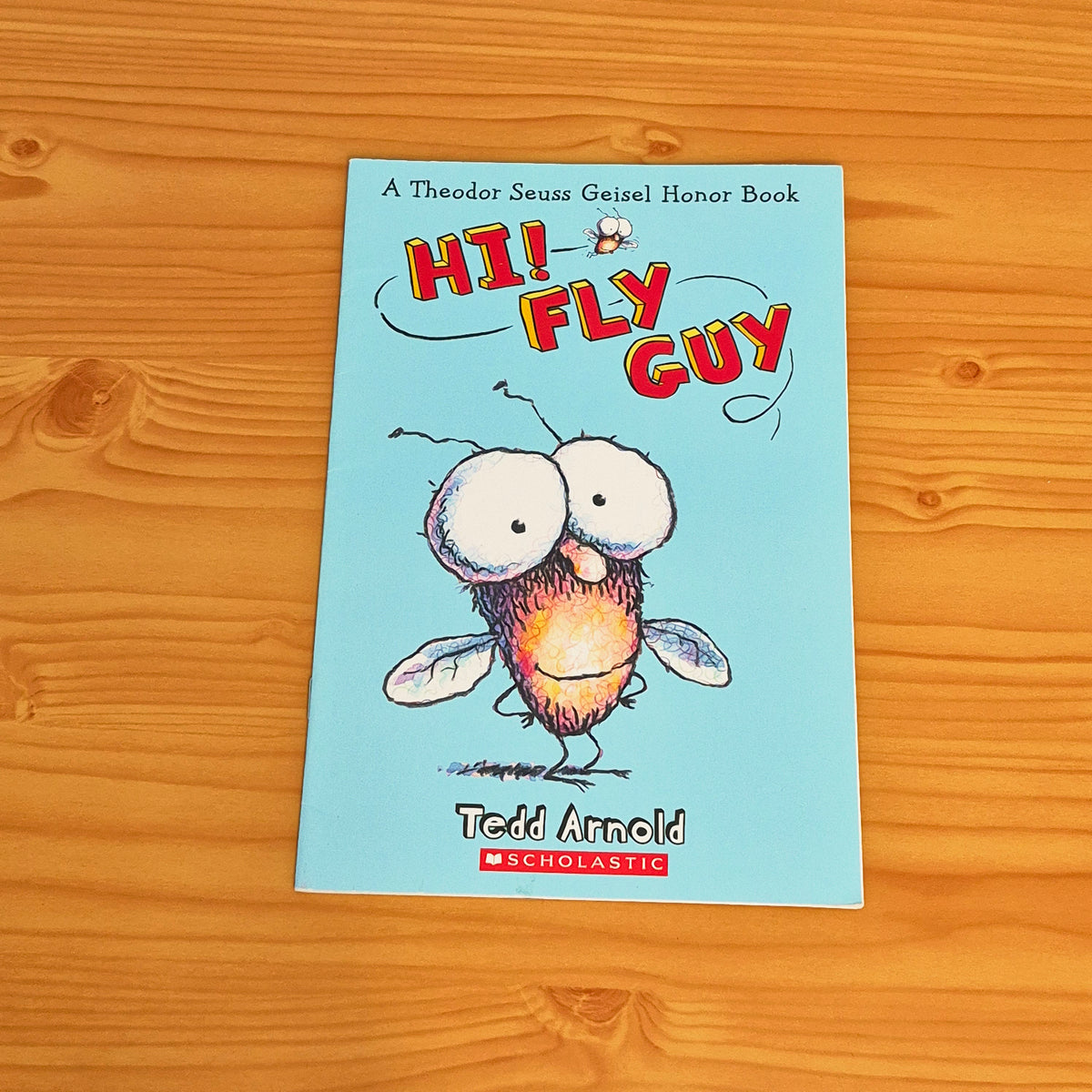 Hi Fly Guy