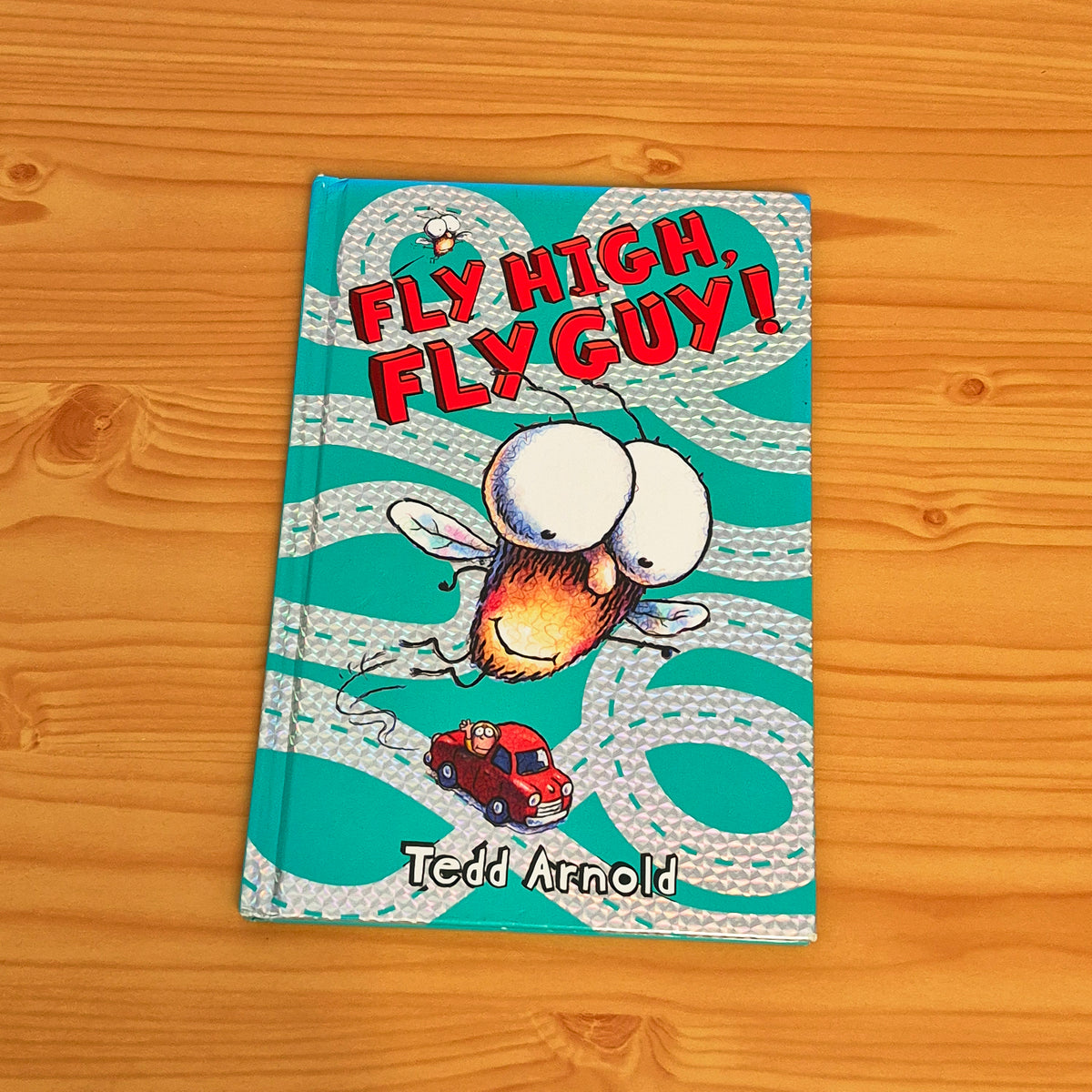 Fly High, Fly Guy!