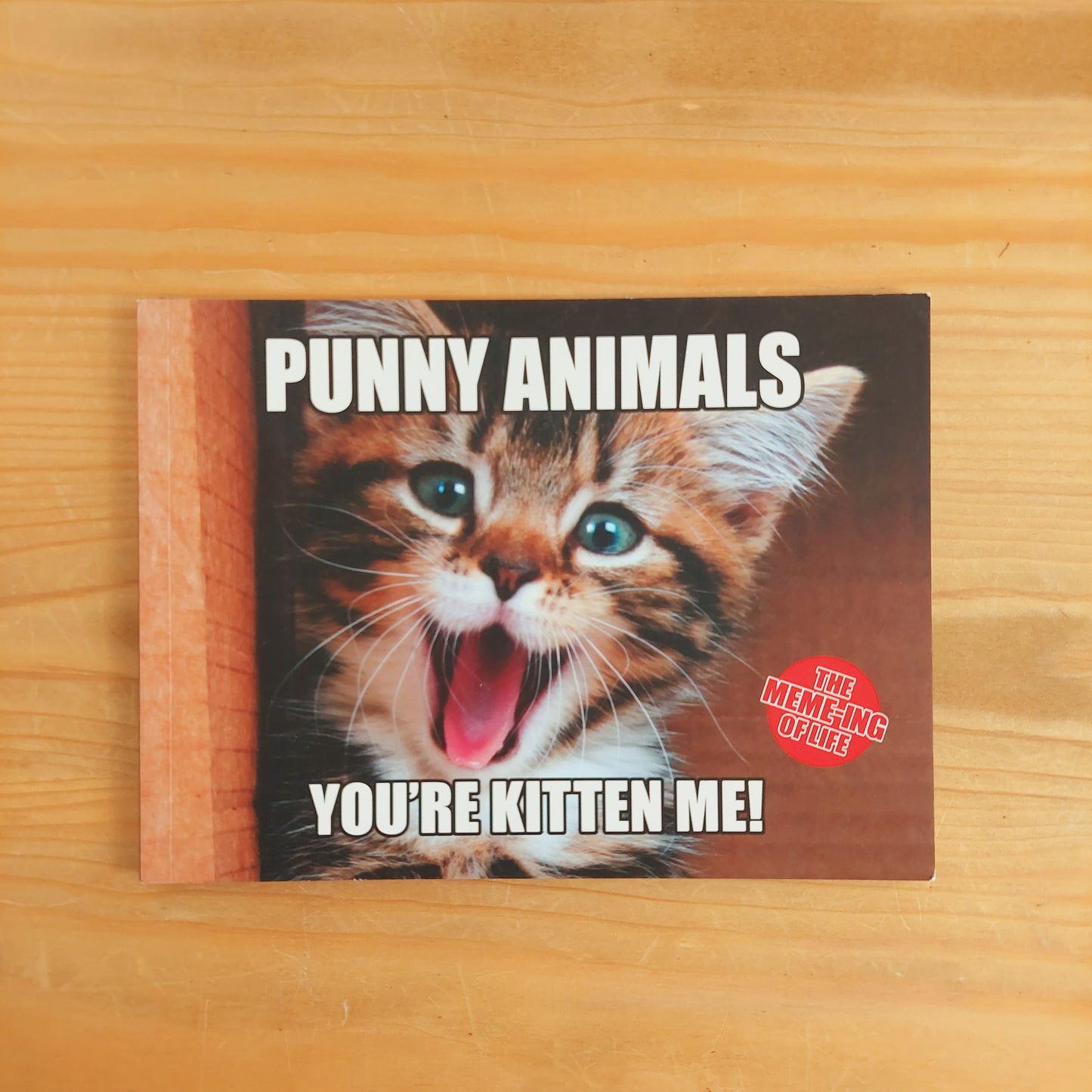 Punny Animals - You're Kitten Me!