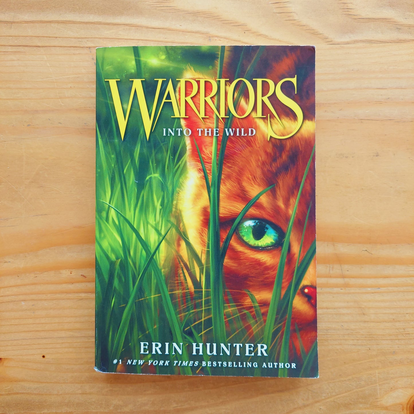 Warriors #1 Into the Wild