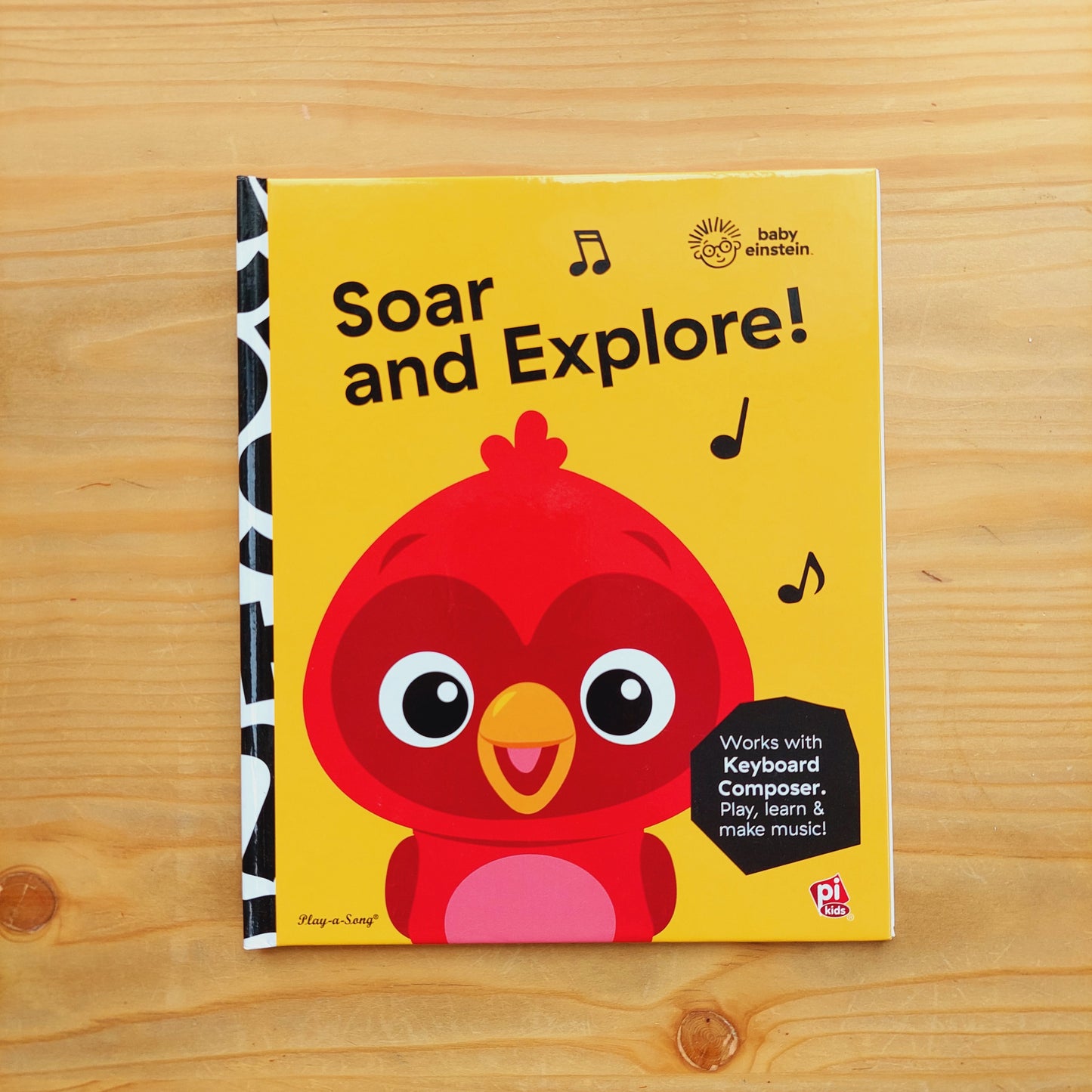 Soar and Explore! - Baby Einstein