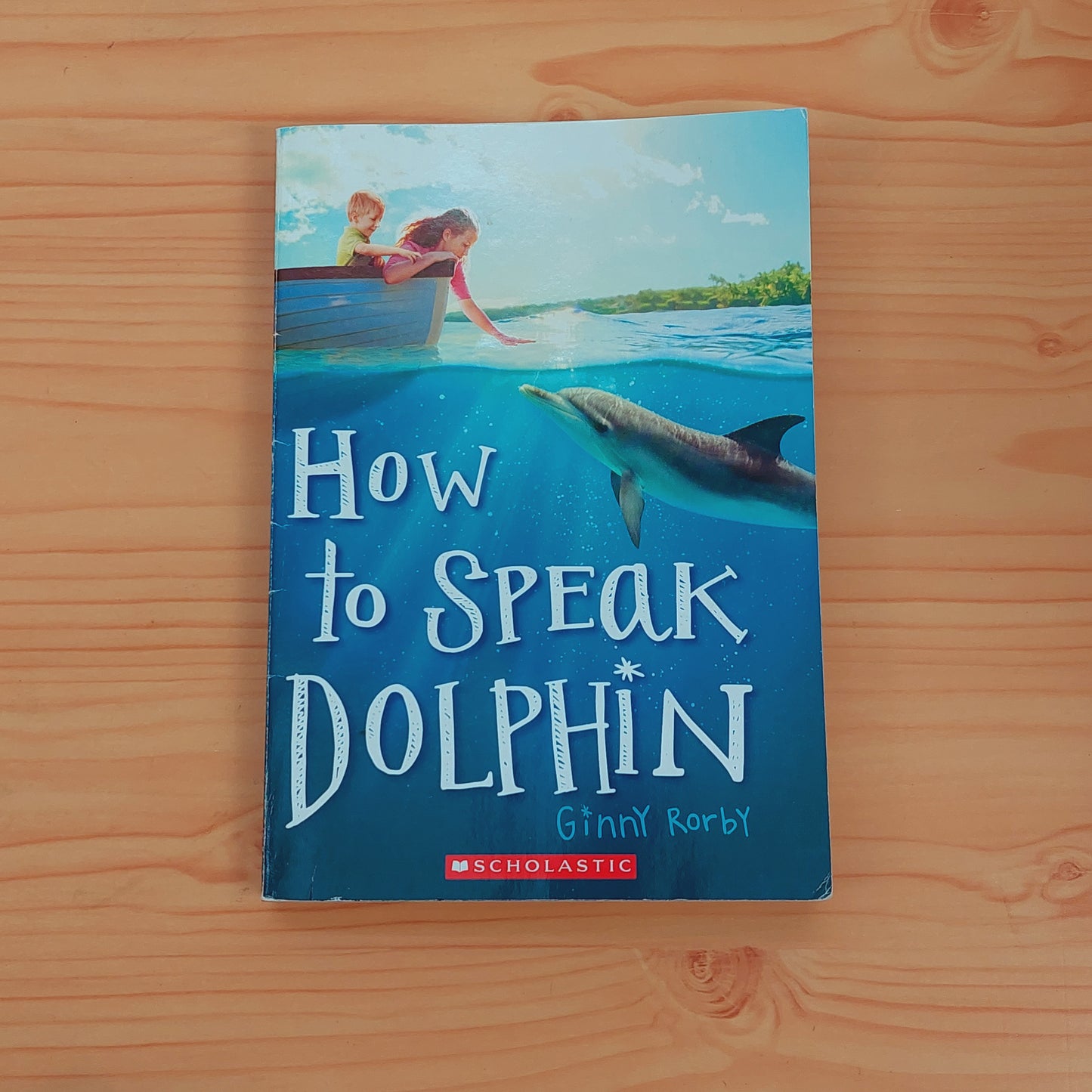 How to Speak Dolphin