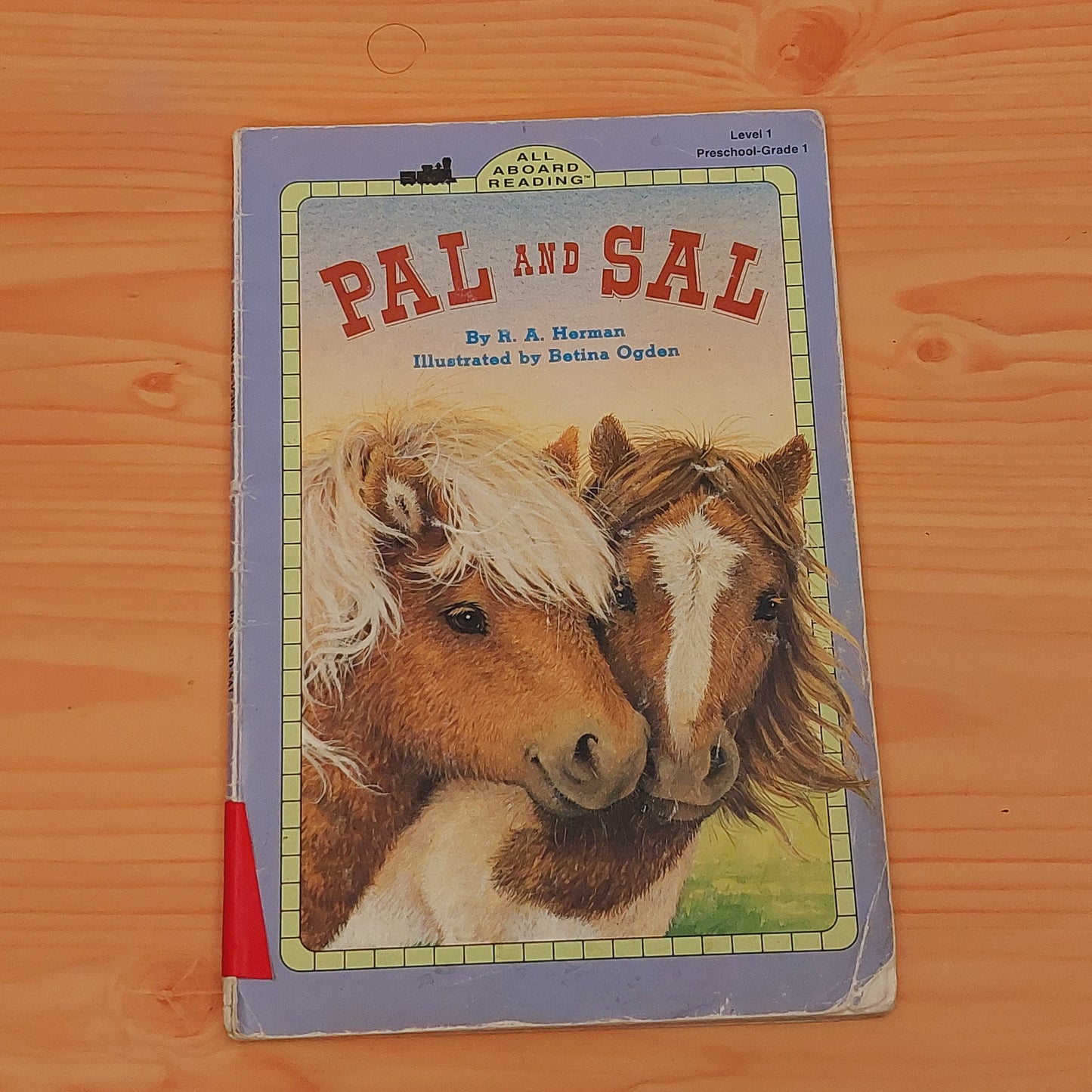 All Aboard Reading: Level 1 - Pal and Sal