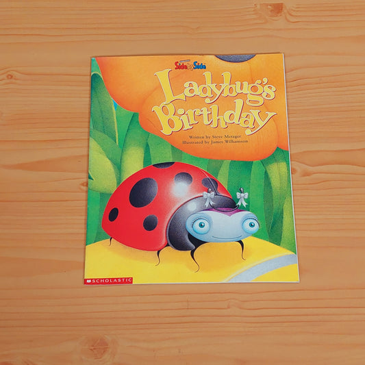 Ladybug's Birthday