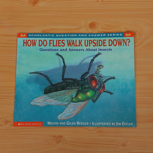 How Do Flies Walk Upside Down? - Scholastic Question and Answer Series