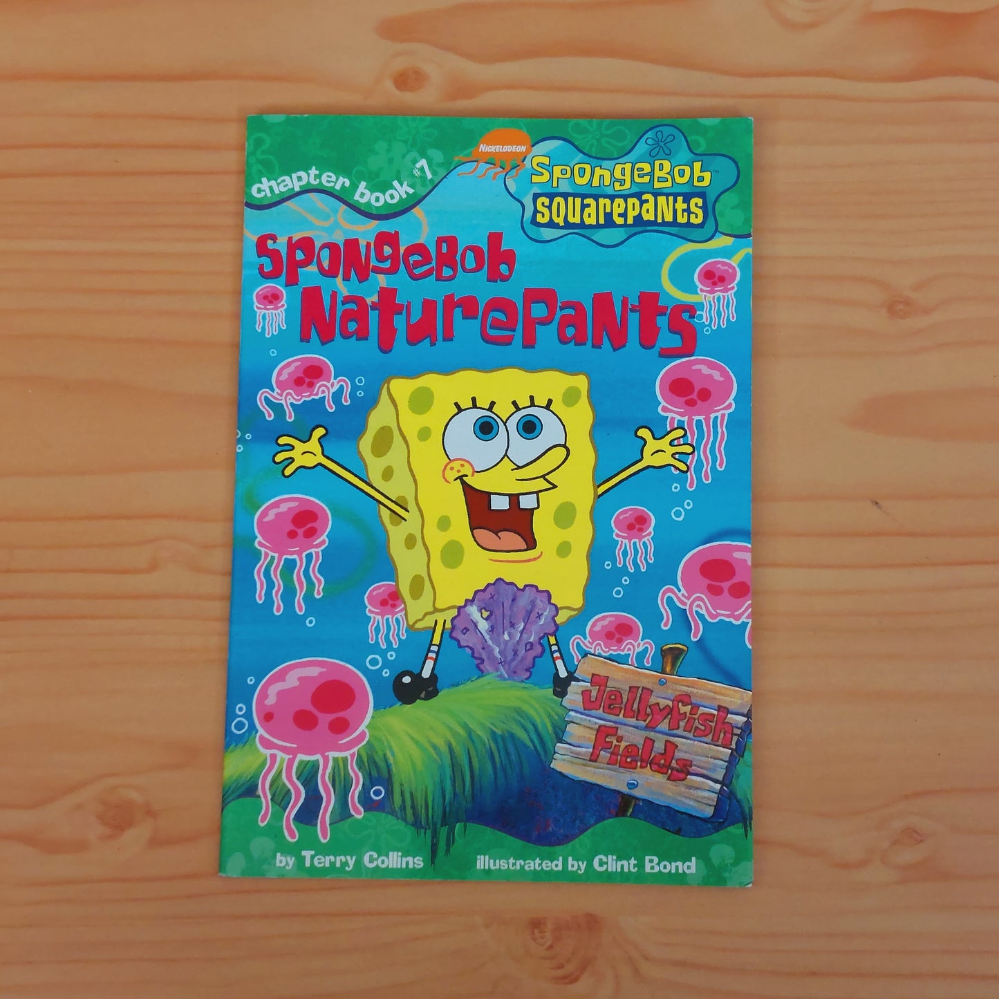 SpongeBob SquarePants - SpongeBob NaturePants