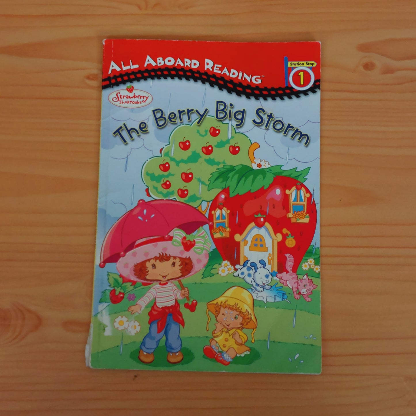 All Aboard Reading: Level 1 - Strawberry Shortcake: The Berry Big Storm