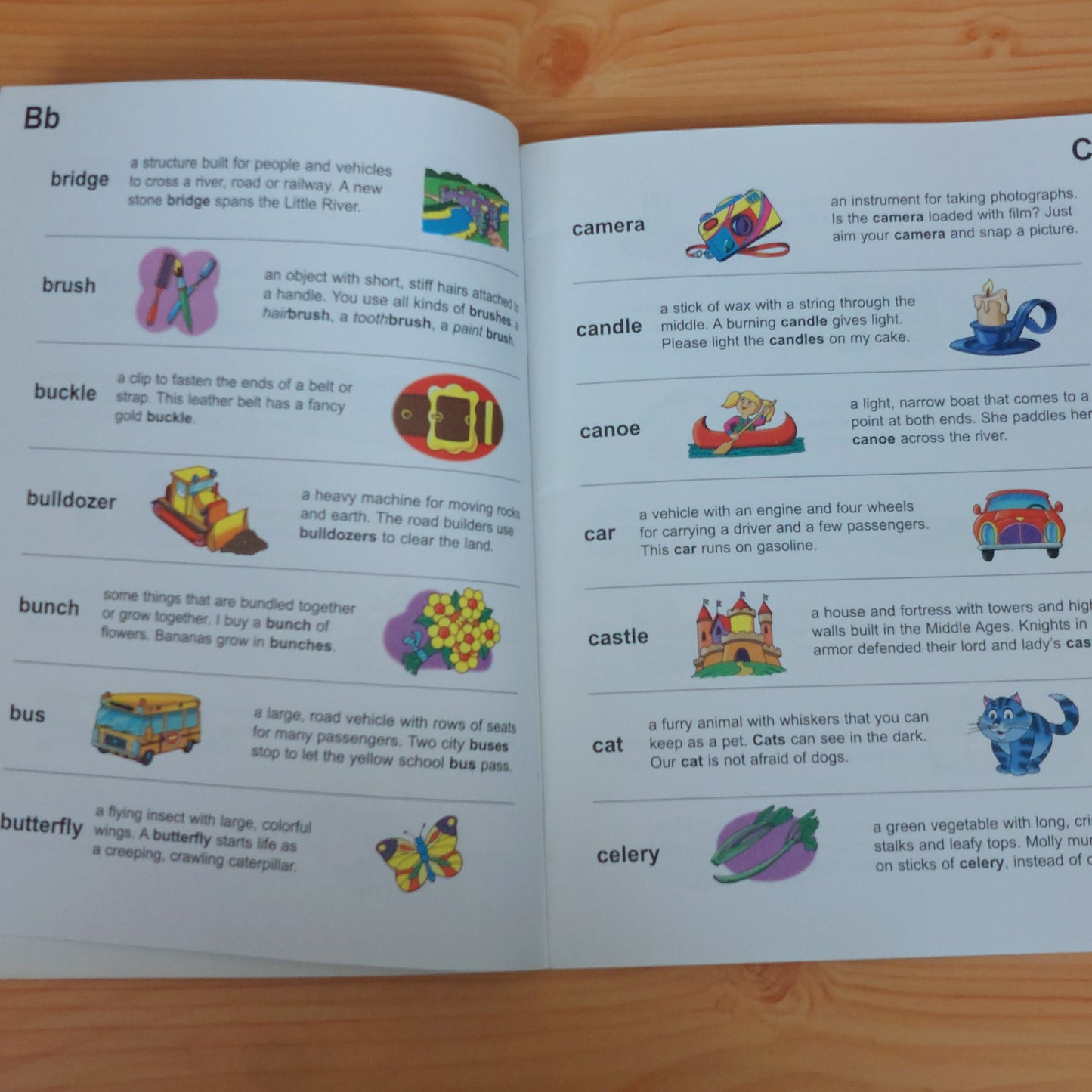 Children's Illustrated Dictionary