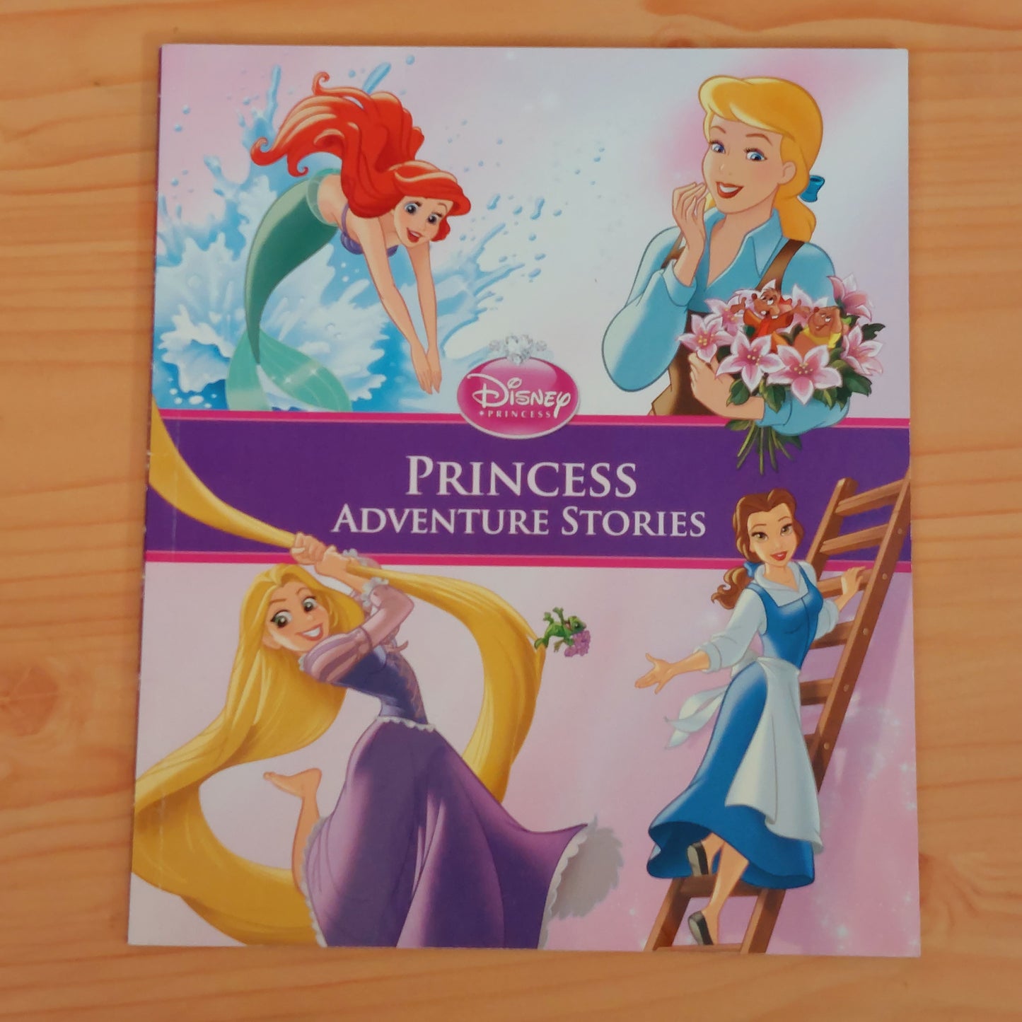 Disney Princess Adventure Stories