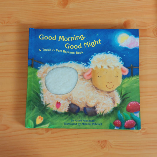 Good Morning, Good Night - A Touch and Feel Bedtime Book